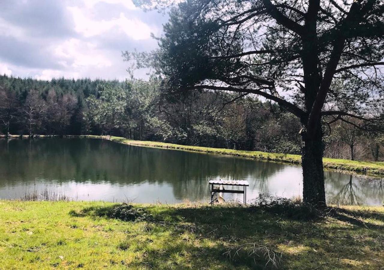 Morvan La Pastourelle Quarre-les-Tombes Ngoại thất bức ảnh